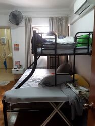 Blk 219 Tampines Street 24 (Tampines), HDB 3 Rooms #609562921
